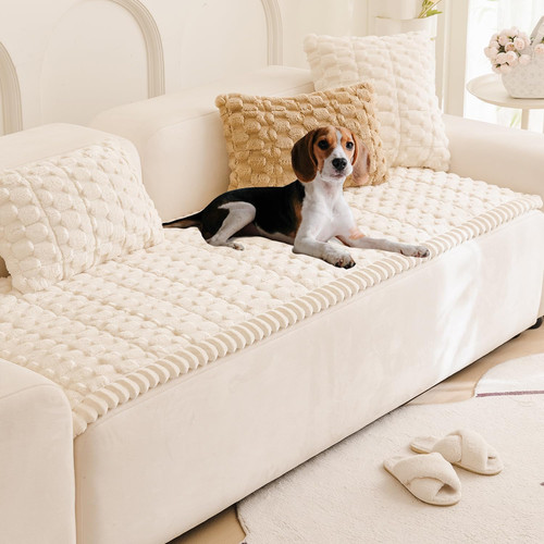 Couch cover for dogs - couch,